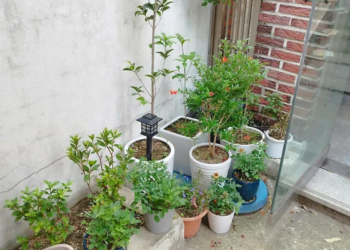 Ewha Univ, Ahyeon 3rooms * Seúl